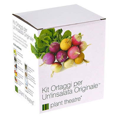 kit graine legumes insolites plant theatre