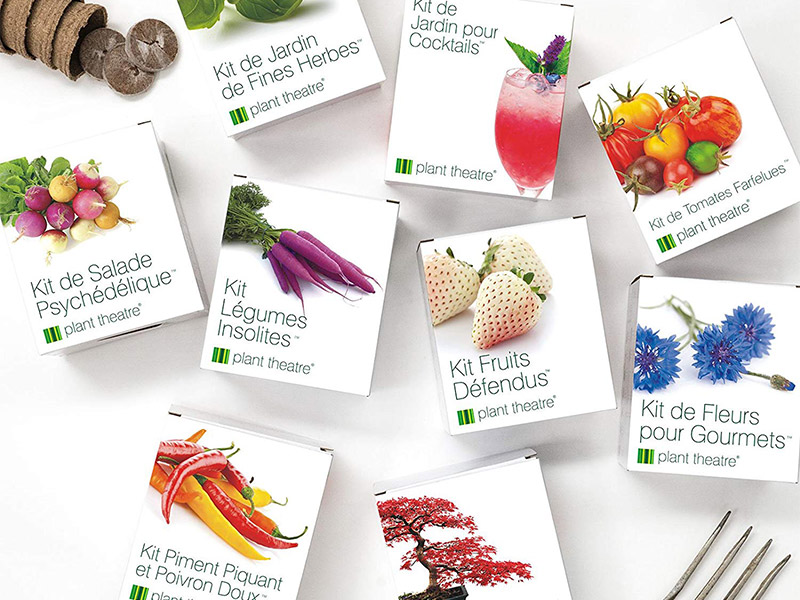 kits de fruits et legumes insolites plant theatre