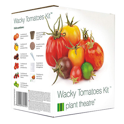 kit graines tomates insolites plant theatre